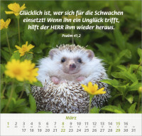 Ich hab dich gern - Wandkalender