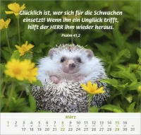 Ich hab dich gern - Wandkalender