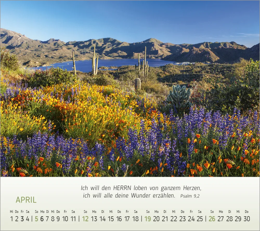 Foto Träume - Tischkalender