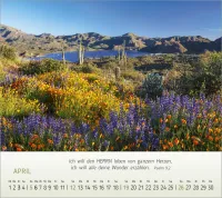 Foto Träume - Tischkalender