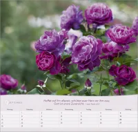 Rosen - Wandkalender