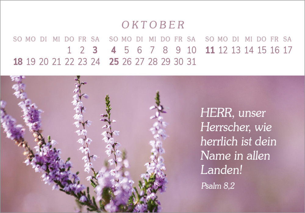 Das Geschenk der Freude - Panorama-Tischkalender
