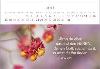 Das Geschenk der Freude - Panorama-Tischkalender