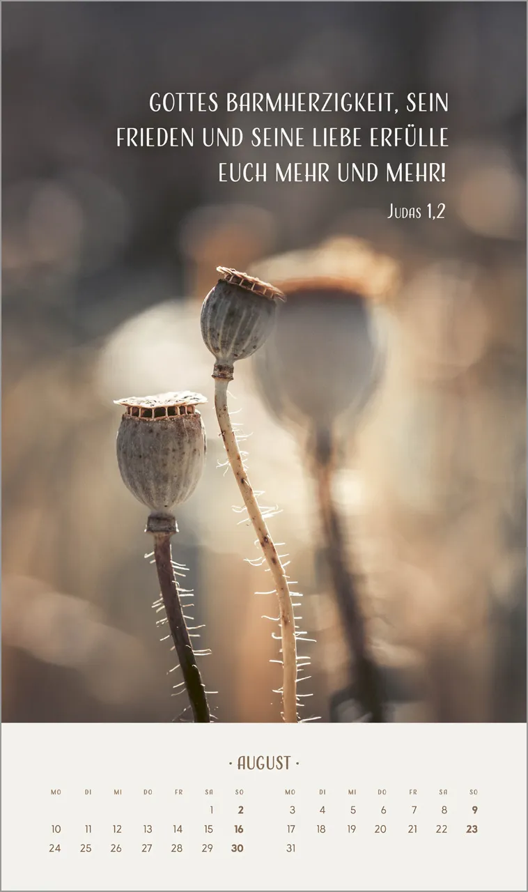Zarte Blumengrüsse - Posterkalender