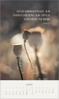 Zarte Blumengrüsse - Posterkalender