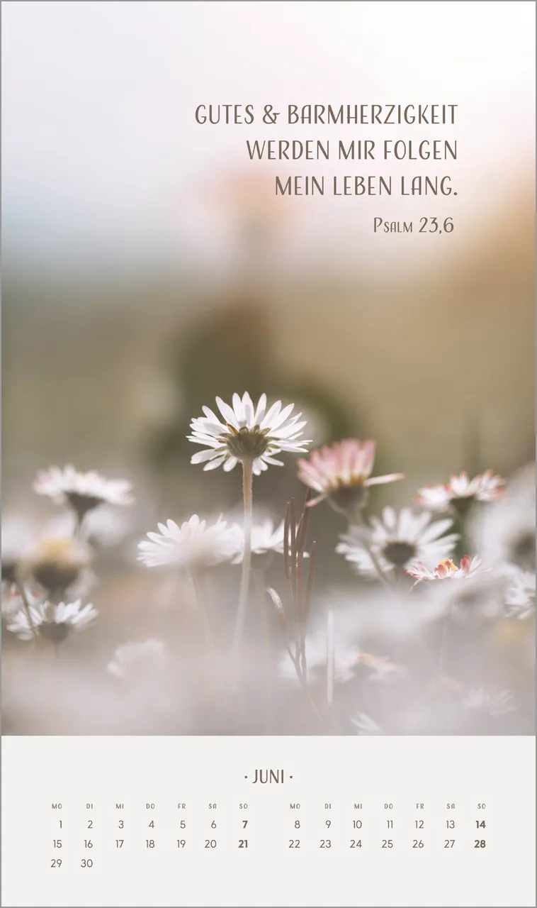 Zarte Blumengrüsse - Posterkalender