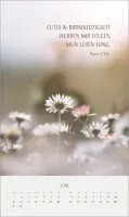 Zarte Blumengrüsse - Posterkalender