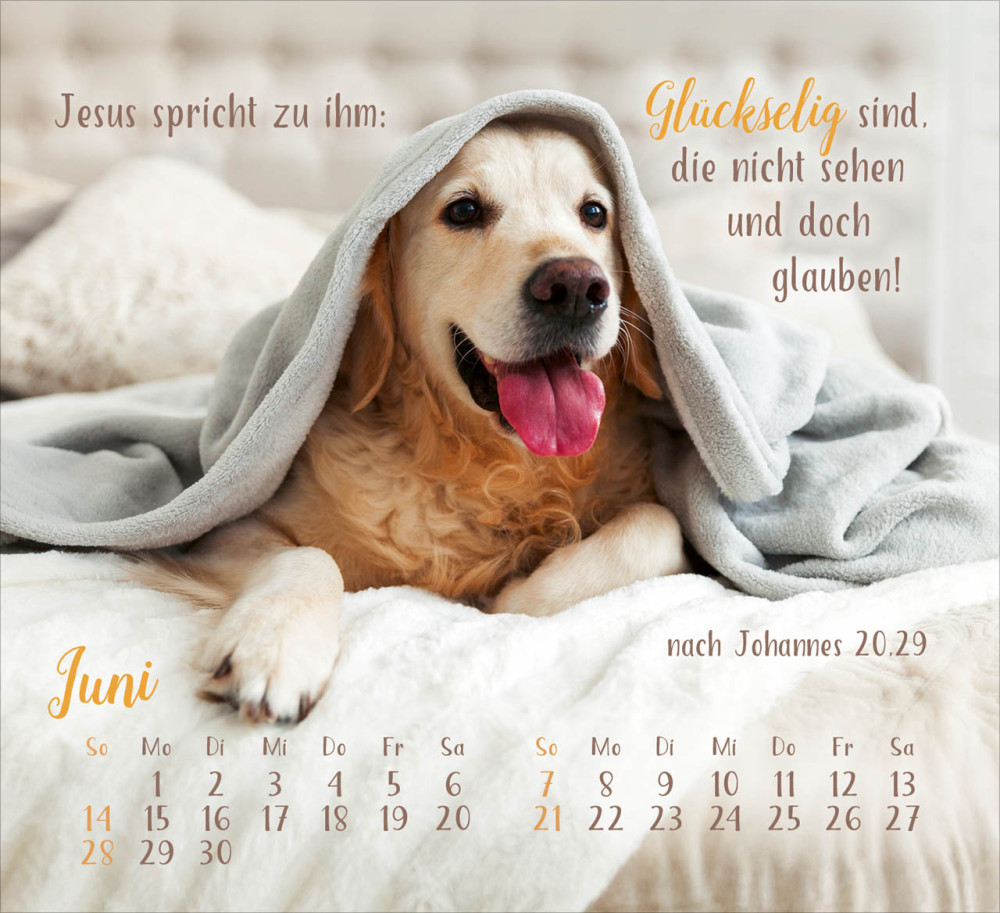 Sei gesegnet! - Tischkalender