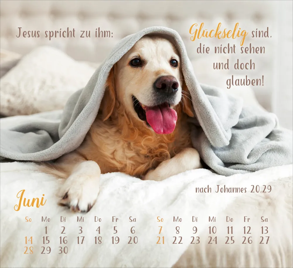 Sei gesegnet! - Tischkalender