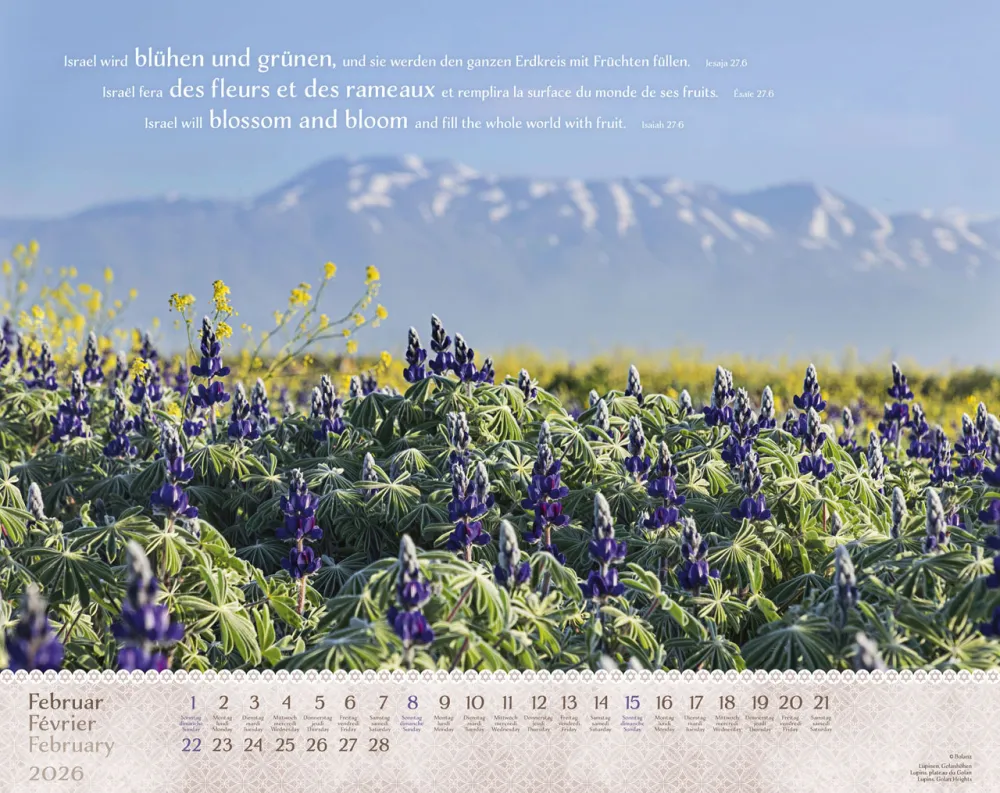 Israel Shalom dreisprachig Deutsch Englisch Französisch - Super-Wandkalender