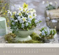 Im Garten zuhause - Wandkalender