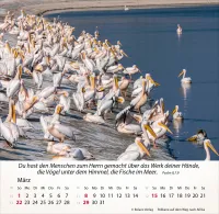 Kalender Israel Shalom - Tischkalender
