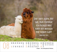 Kalender Begegnungen - Minikalender