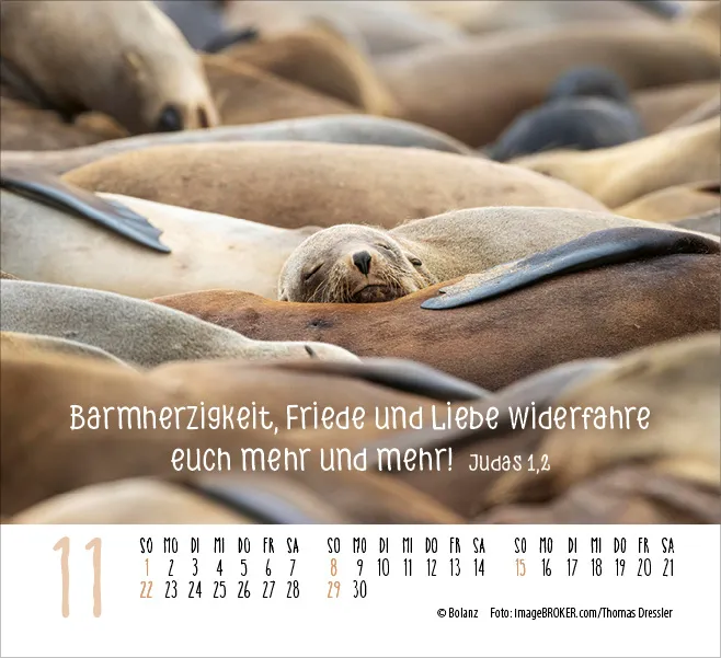 Kalender Begegnungen - Minikalender