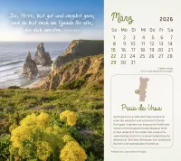 Kalender Faszinierende Schöpfung - Tischkalender