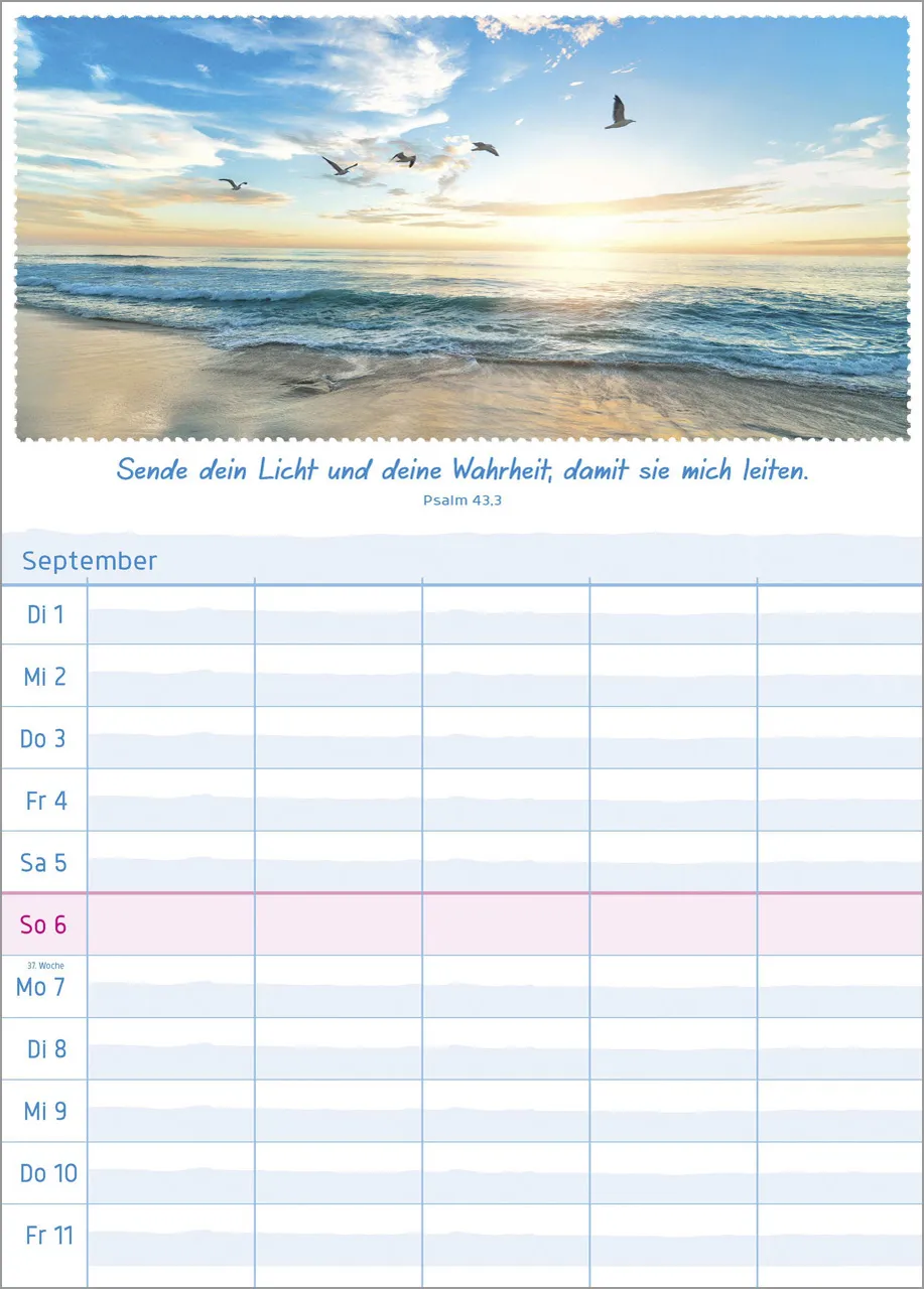 Multiplaner - Posterkalender