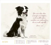 MeisterWerke des Schöpfers - Tischkalender