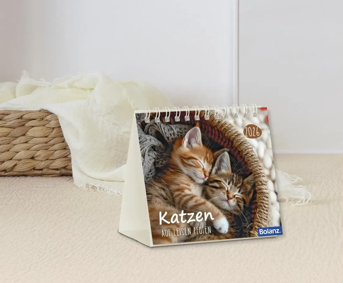 Kalender Katzen - Auf leisen Pfoten - Minikalender