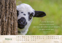 Der gute Hirte - Panoramakalender