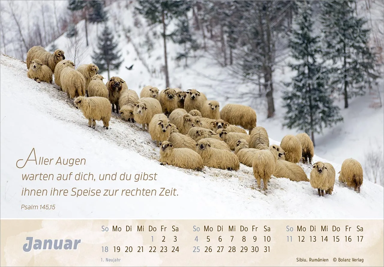 Der gute Hirte - Panoramakalender