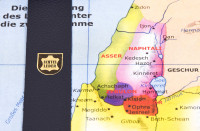 MacArthur Studienbibel mit Echtleder-Bibelhülle - Hülle in leicht genarbten Echtleder mit...