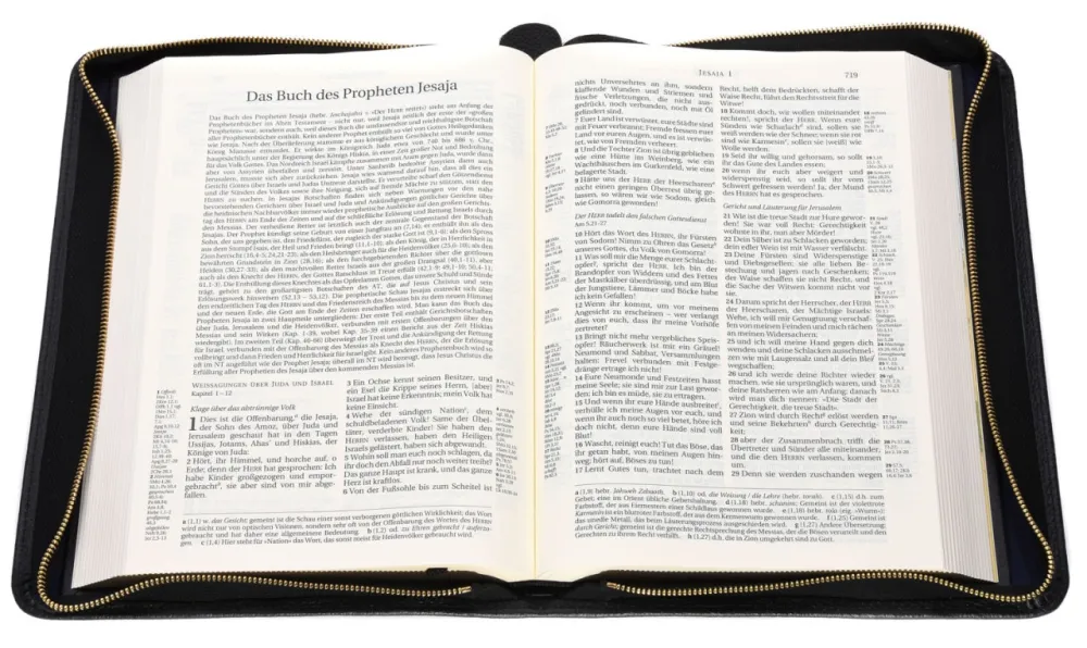 Schlachter 2000 Standardausgabe mit Echtleder-Bibelhülle - Hülle in leicht genarbten Echtleder...