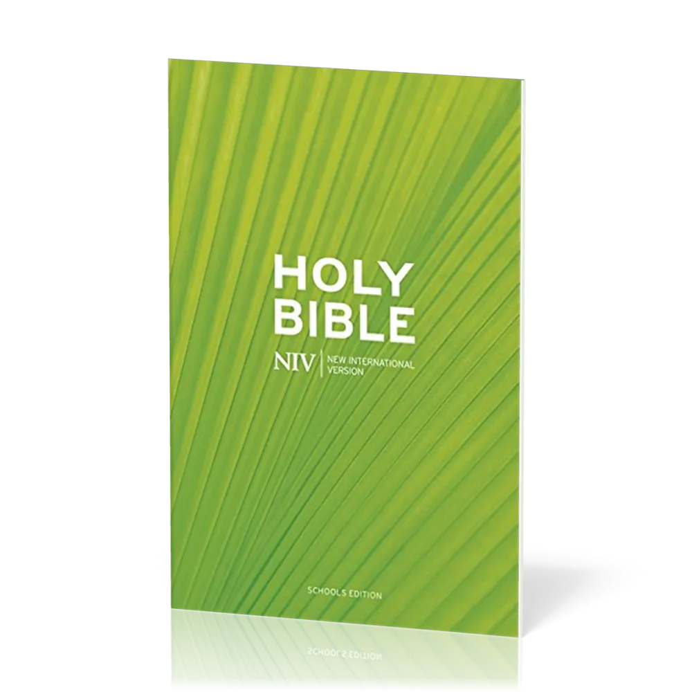 Englisch, Bibel New International Version, kartonniert