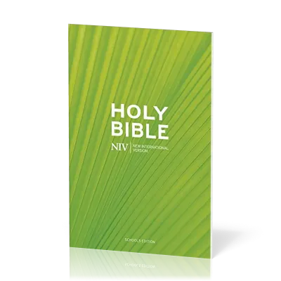 Englisch, Bibel New International Version, kartonniert