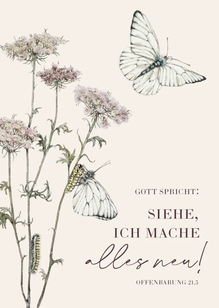 Gott spricht: Siehe, ich mache alles neu (10 Postkarten) - Jahreslosung 2026 - Motiv Rebekka...