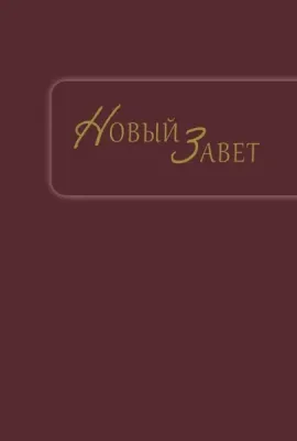 Russisch, Neues Testament Synodal, illustrierter Einband