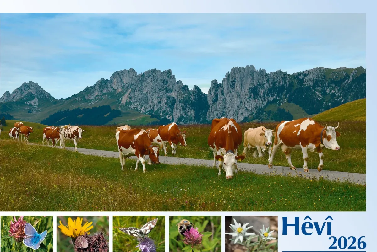 Kurdisch - Kurmandschi - Deutsch, Bildkalender Hoffnung - Monatskalender