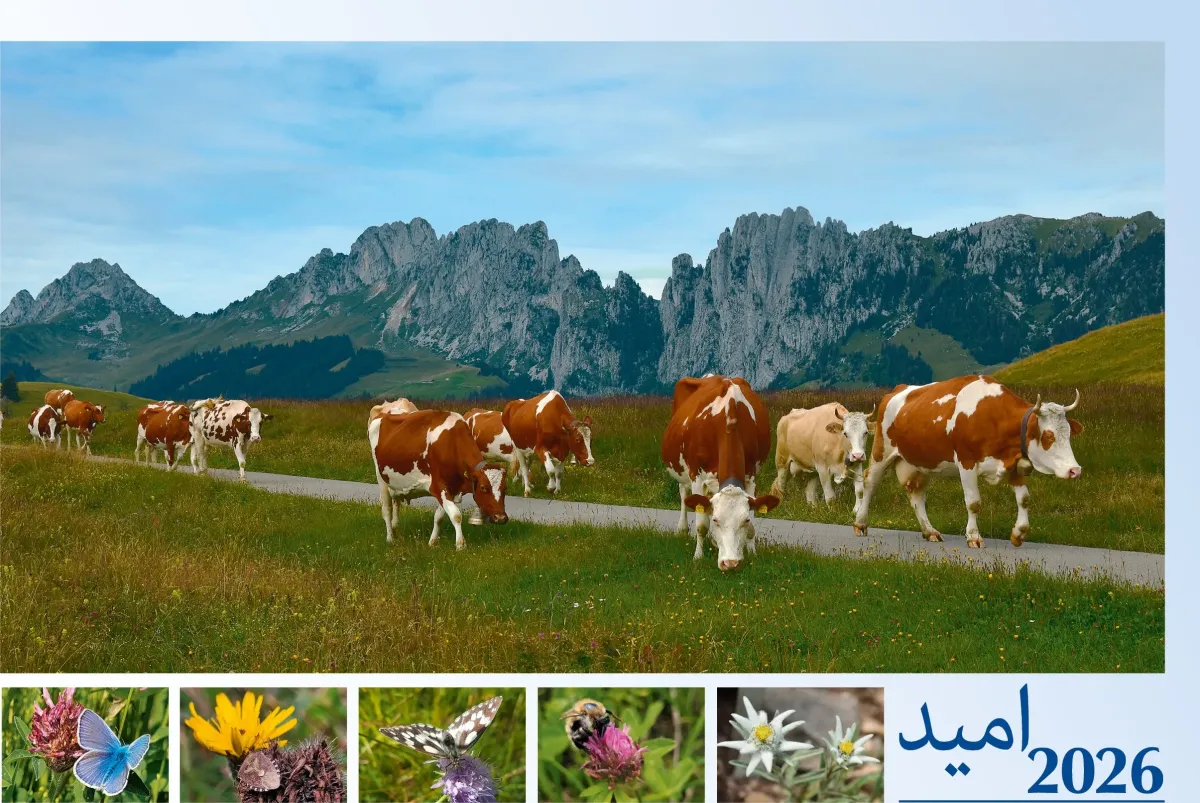 Farsi (Persisch) - Deutsch, Bildkalender Hoffnung - Monatskalender