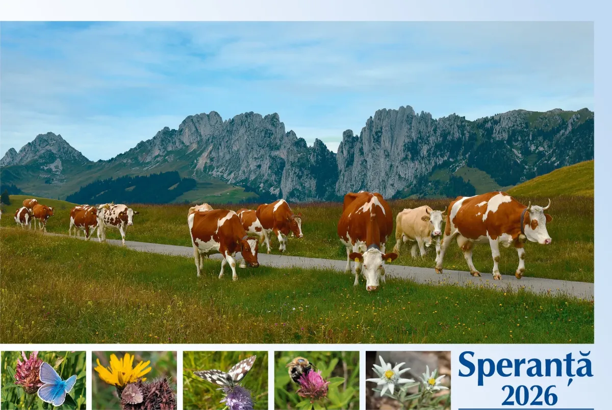 Rumänisch - Deutsch, Bildkalender Hoffnung - Monatskalender