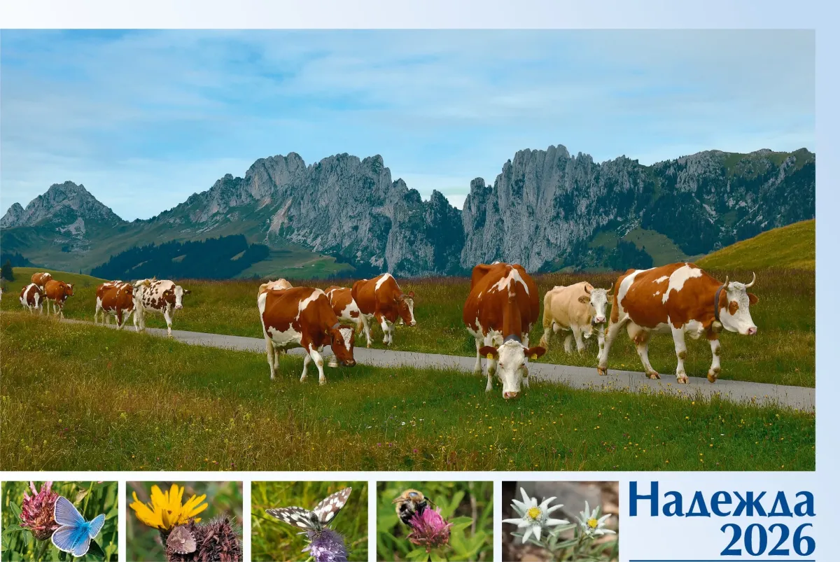 Russisch - Deutsch, Bildkalender Hoffnung - Monatskalender