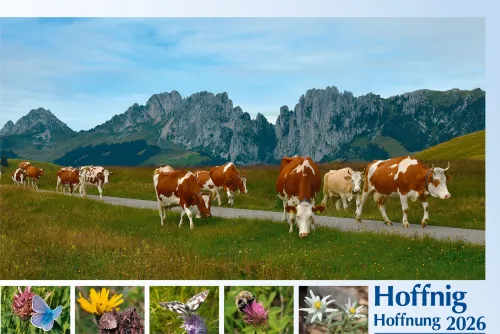 Deutsch - Schweizerdeutsch Bildkalender Hoffnung - Monatskalender