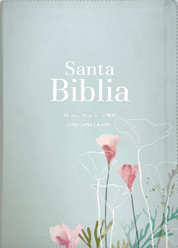 Espagnol, Bible, Reina Valera 1960, gros caractères, moyen format, similicuir menthe fraiche -...