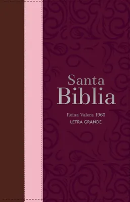 Espagnol, Bible, Reina Valera 1960, gros caractères, moyen format, similicuir tricolore marron,...