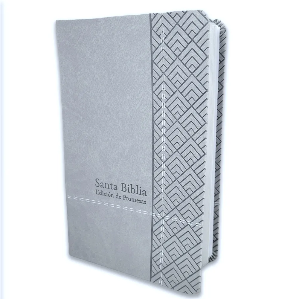 Espagnol, Bible, Reina Valera 1960, gros caractères, moyen format, similicuir gris clair - Biblia...