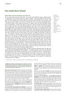 Elberfelder Bibel - Leder mit Goldschnitt - Die große Studien- und Kommentarausgabe