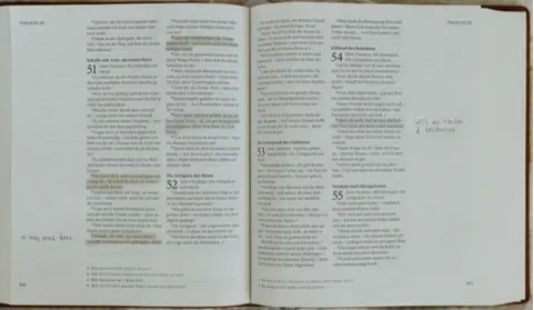 Sconi Bibel Bibel mit Olivenzweig - hellbraun mit Schreibrand