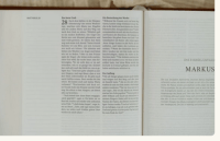 Sconi Bibel Bibel mit Olivenzweig - hellbraun mit Schreibrand