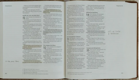 Sconi Bibel Bibel mit Blumen hellbraun - mit Schreibrand