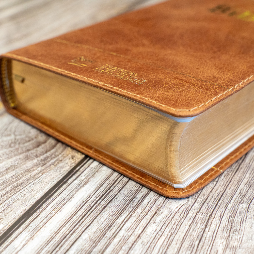 Bible Segond 21 compacte (Premium Style) - couverture souple, cuir brun, avec tranches dorées