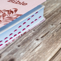 Bible Segond 21 compacte (Premium Style) - couverture souple, toile rose avec paillettes