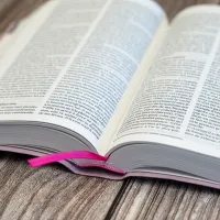 Bible Segond 21 compacte (Premium Style) - couverture souple, toile rose avec paillettes