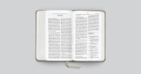 Englisch, Bibel English Standard Version, Taschenformat - gebunden Kunstleder grau, Motif Zweig...