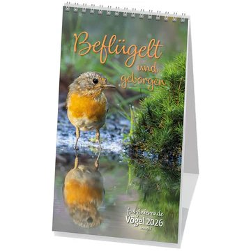 Beflügelt und geborgen - Vögel Postkartenkalender - mit Zitaten