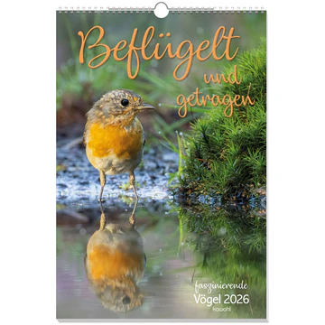 Beflügelt und getragen - Vögel (Wandkalender
