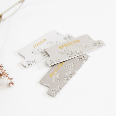 Bibelregister "Amber" - ohne Apokryphen