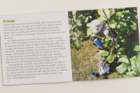 Gute Früchte sammeln, Teil 1 - Serie MiKi-Bücher